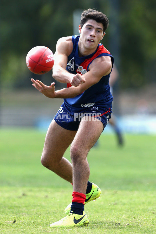 VFL 2018 Round 04 - Coburg v North Melbourne - 587463