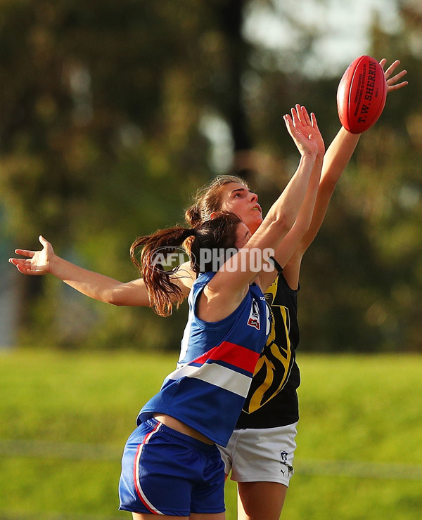 VFLW 2018 Round 01 - Western Bulldogs v Richmond - 588993
