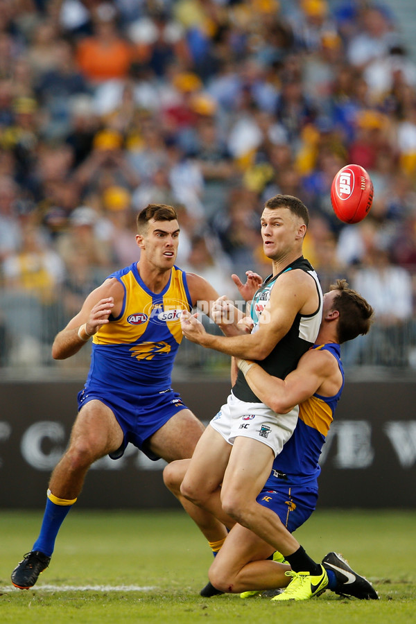 AFL 2018 Round 07 - West Coast v Port Adelaide - 589066