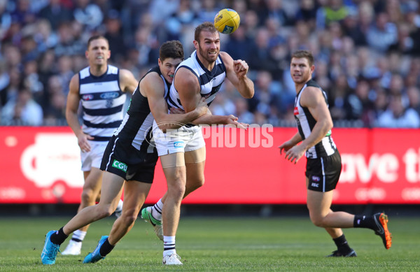 AFL 2018 Round 08 - Collingwood v Geelong - 591956