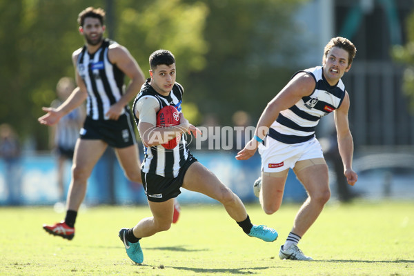 VFL 2018 Round 06 - Collingwood v Geelong - 592005