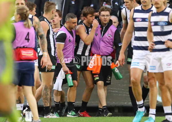 AFL 2018 Round 08 - Collingwood v Geelong - 592141