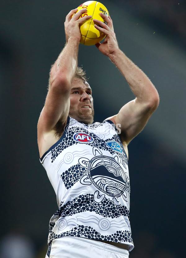 AFL 2018 Round 10 - Geelong v Carlton - 595632