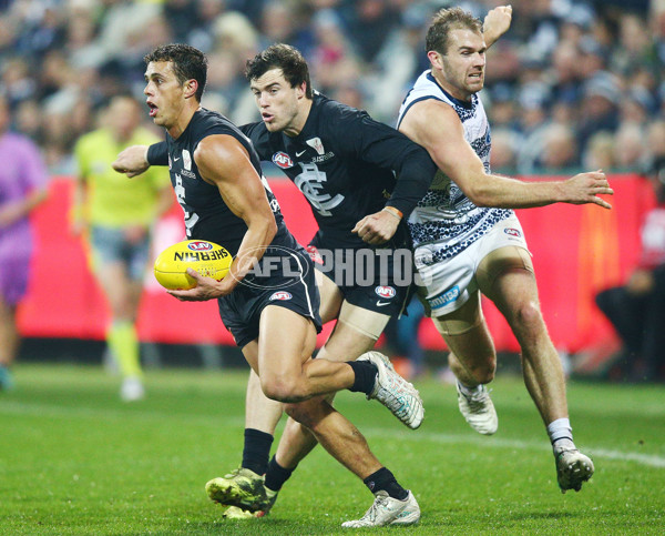 AFL 2018 Round 10 - Geelong v Carlton - 595752