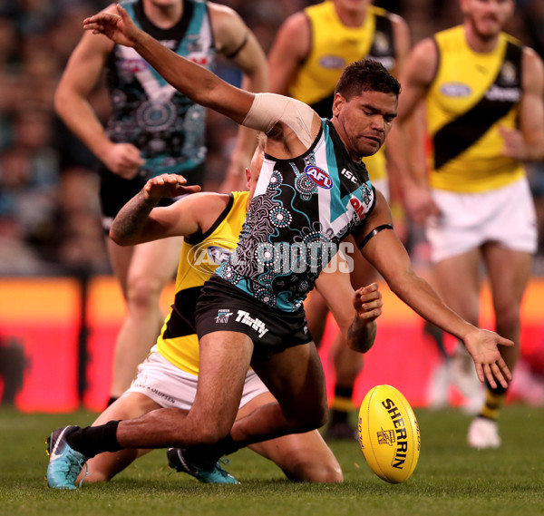 AFL 2018 Round 12 - Port Adelaide v Richmond - 599242