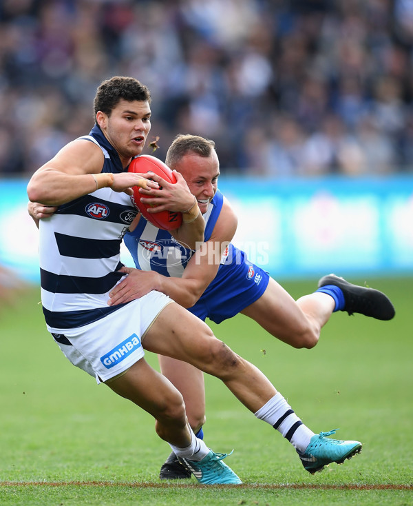 AFL 2018 Round 12 - Geelong v North Melbourne - 599360