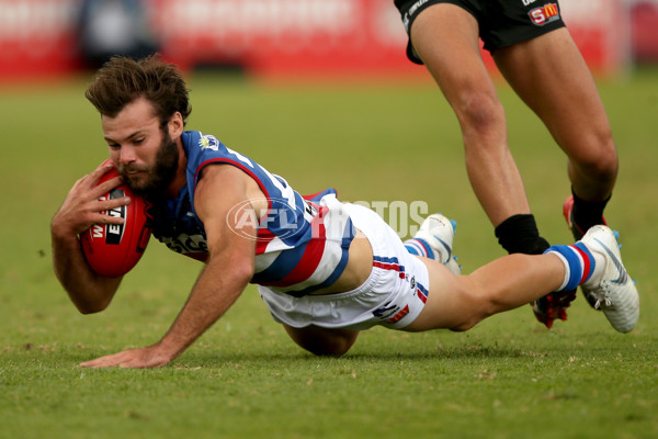 SANFL 2018 Round 10 - Bulldogs v Port Adelaide - 599371