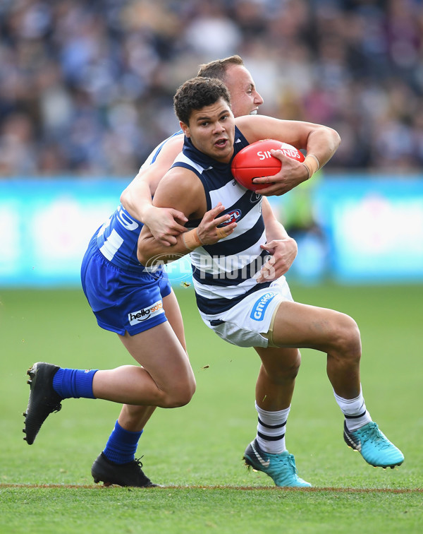 AFL 2018 Round 12 - Geelong v North Melbourne - 599361