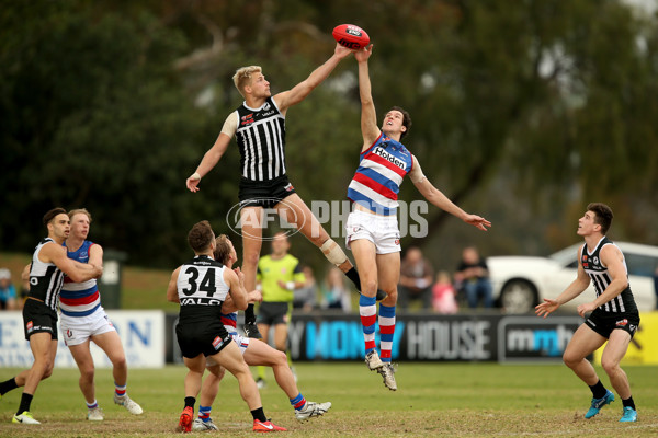 SANFL 2018 Round 10 - Bulldogs v Port Adelaide - 599362