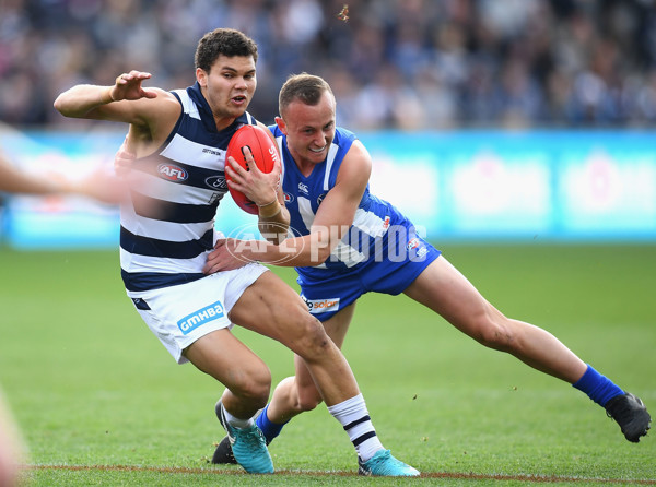 AFL 2018 Round 12 - Geelong v North Melbourne - 599411