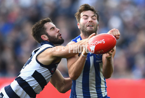 AFL 2018 Round 12 - Geelong v North Melbourne - 599455