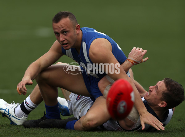 AFL 2018 Round 12 - Geelong v North Melbourne - 599662