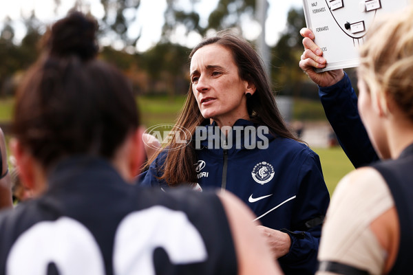 VFLW 2018 Round 06 - Carlton v NT Thunder - 601425