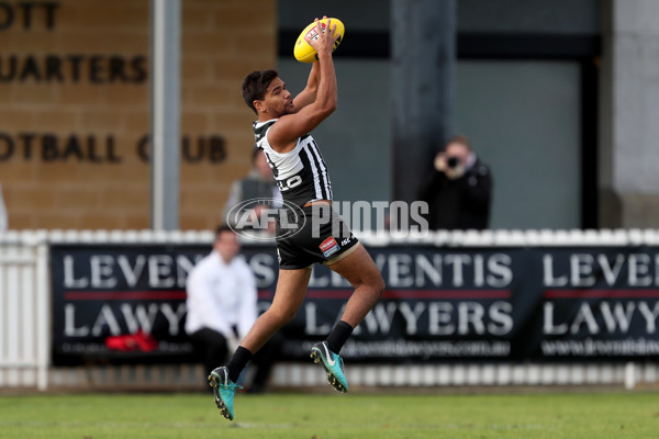 SANFL 2018 Round 11 - Port Adelaide v Sturt - 602162