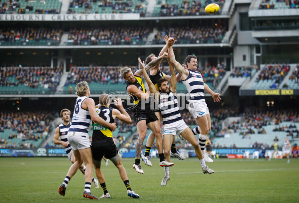 AFL 2018 Round 13 - Geelong v Richmond - 602163