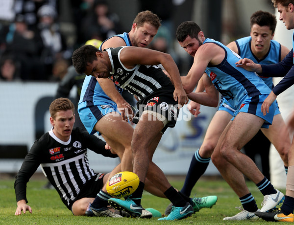 SANFL 2018 Round 11 - Port Adelaide v Sturt - 602161