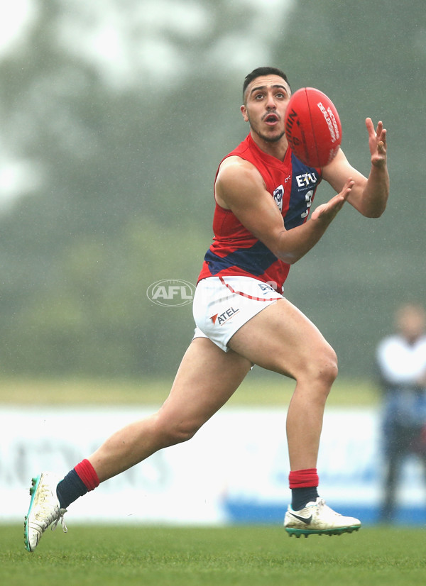 VFL 2018 Round 12 - Casey v Coburg - 603025