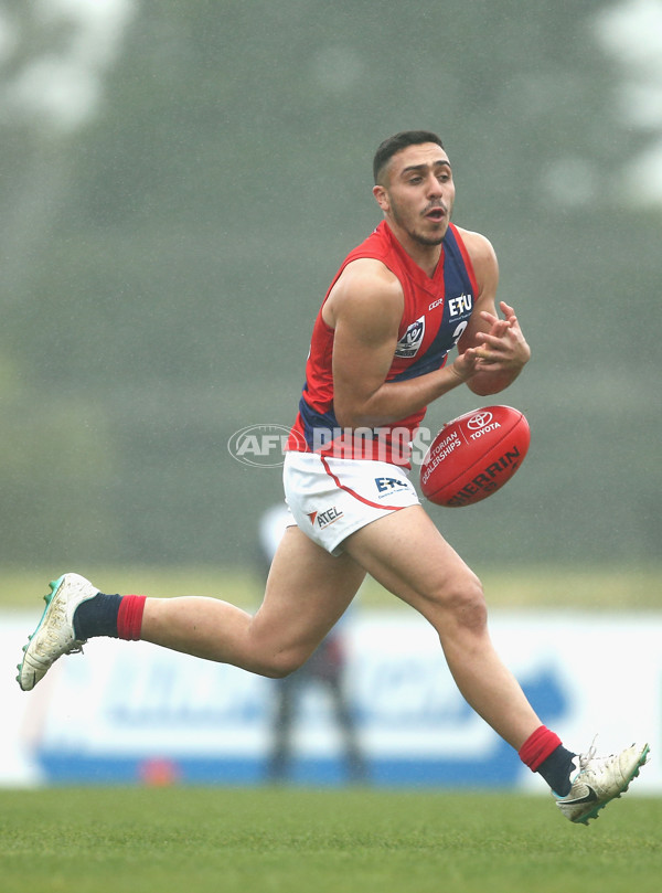 VFL 2018 Round 12 - Casey v Coburg - 603026