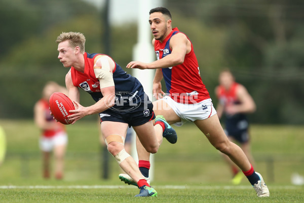 VFL 2018 Round 12 - Casey v Coburg - 603021