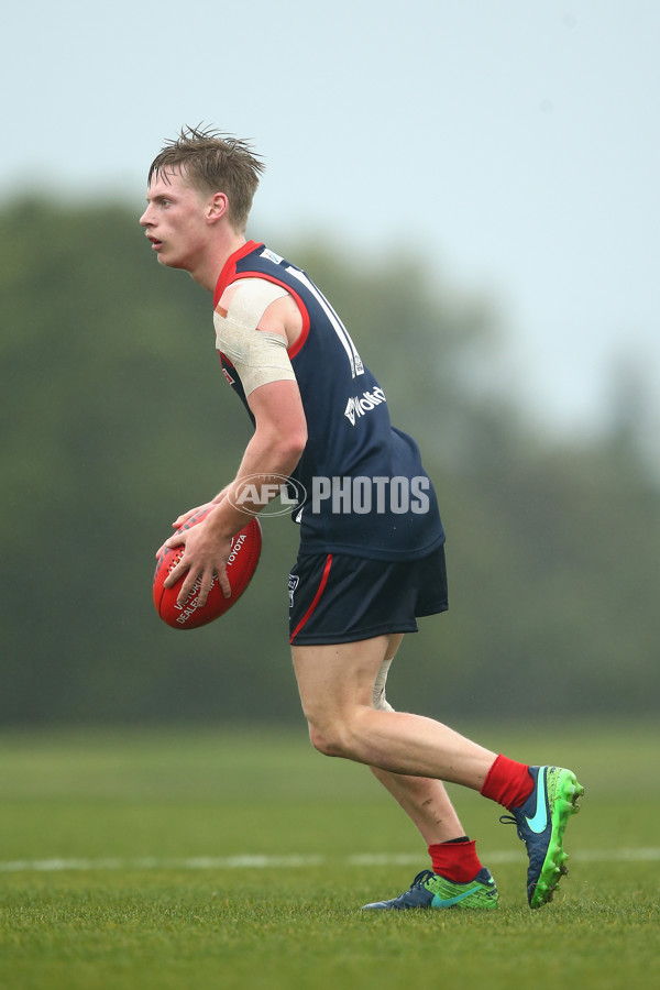 VFL 2018 Round 12 - Casey v Coburg - 603032