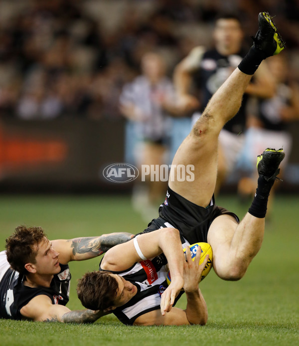 AFL 2018 Round 14 - Collingwood v Carlton - 603737