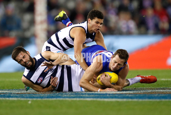 AFL 2018 Round 15 - Western Bulldogs v Geelong - 604822