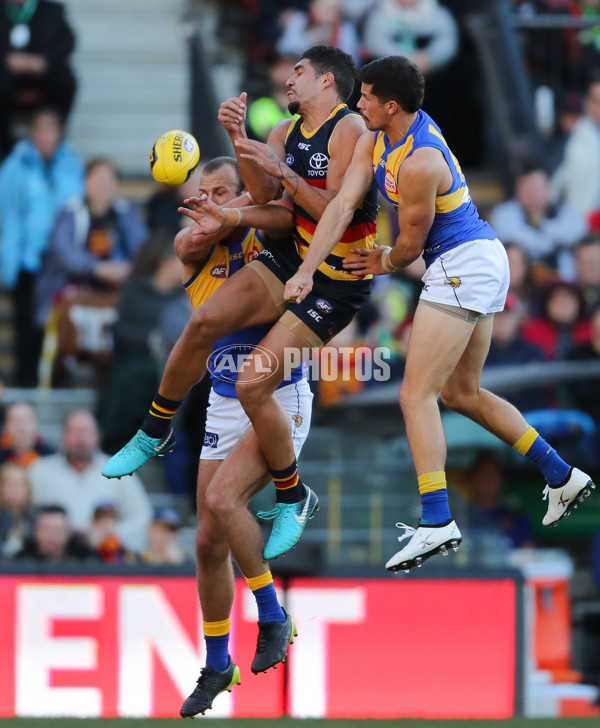 AFL 2018 Round 15 - Adelaide v West Coast - 605461