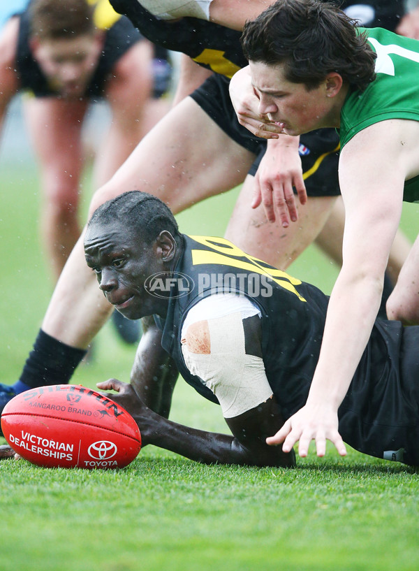 AFL 2018 Media - Young Guns Series - 606121