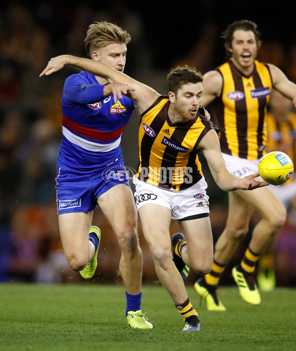 AFL 2018 Round 16 - Western Bulldogs v Hawthorn - 608120