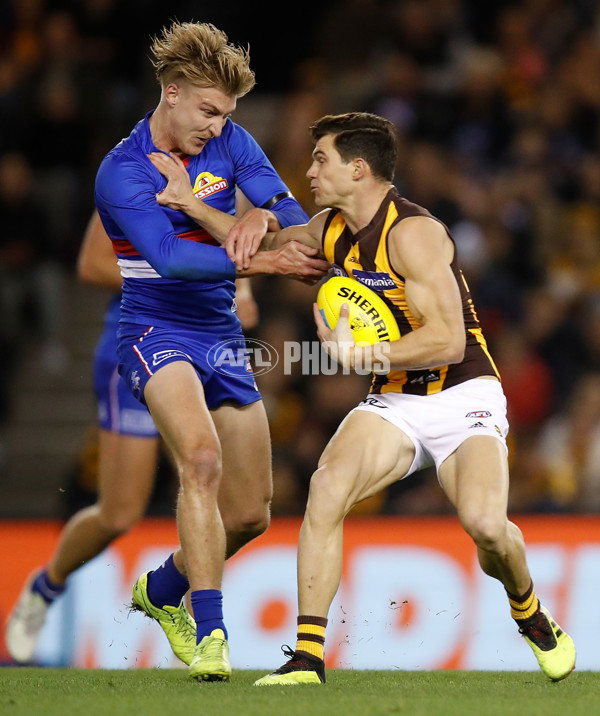 AFL 2018 Round 16 - Western Bulldogs v Hawthorn - 608167