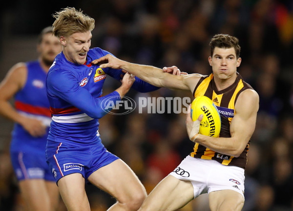 AFL 2018 Round 16 - Western Bulldogs v Hawthorn - 608169