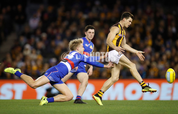 AFL 2018 Round 16 - Western Bulldogs v Hawthorn - 608168