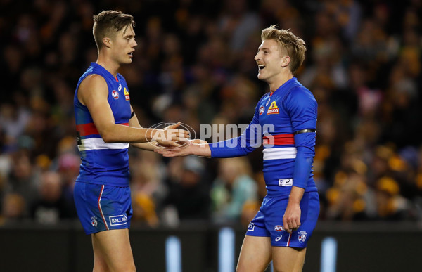 AFL 2018 Round 16 - Western Bulldogs v Hawthorn - 608186