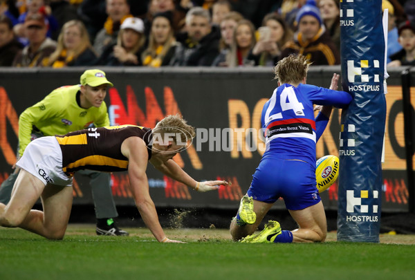 AFL 2018 Round 16 - Western Bulldogs v Hawthorn - 608184