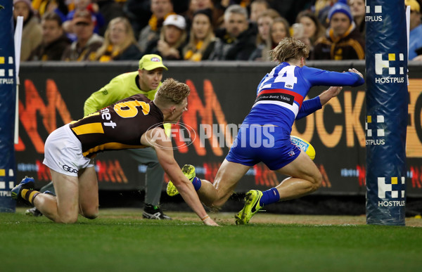 AFL 2018 Round 16 - Western Bulldogs v Hawthorn - 608183