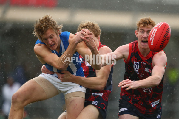 VFL 2018 Round 14 - Casey v North Melbourne - 608582