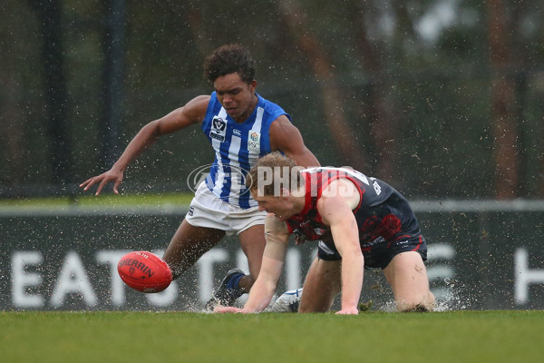 VFL 2018 Round 14 - Casey v North Melbourne - 608571