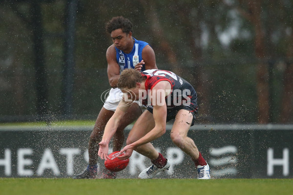 VFL 2018 Round 14 - Casey v North Melbourne - 608572