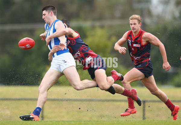 VFL 2018 Round 14 - Casey v North Melbourne - 608565