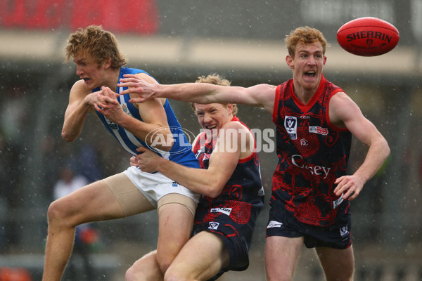 VFL 2018 Round 14 - Casey v North Melbourne - 608583