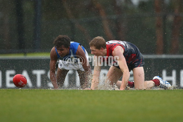 VFL 2018 Round 14 - Casey v North Melbourne - 608569