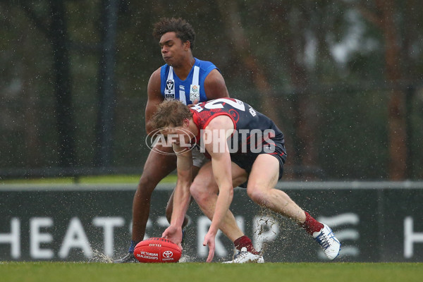 VFL 2018 Round 14 - Casey v North Melbourne - 608573