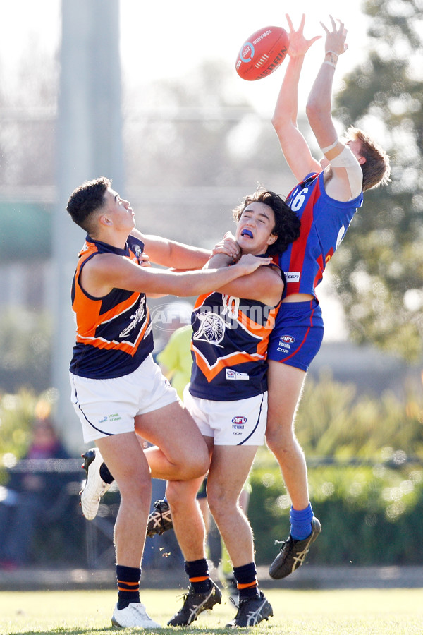 TAC Cup 2018 Round 12 - Oakleigh v Calder - 610272