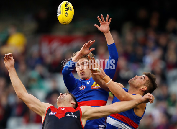 AFL 2018 Round 17 - Melbourne v Western Bulldogs - 610464