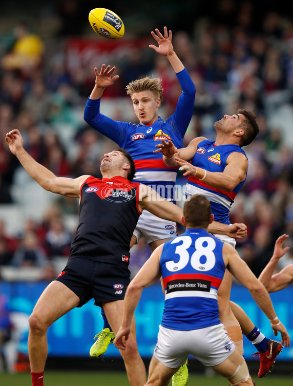 AFL 2018 Round 17 - Melbourne v Western Bulldogs - 610465