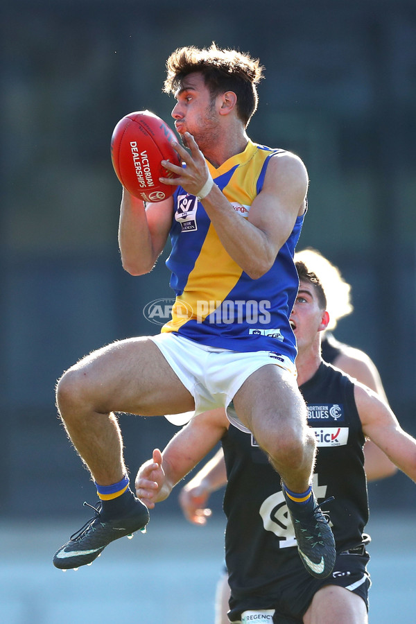 VFL 2018 Round 15 - Northern Blues v Williamstown - 611715