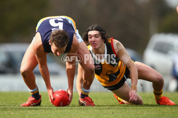 TAC Cup 2018 Round 12 - Dandenong v Bendigo - 612871