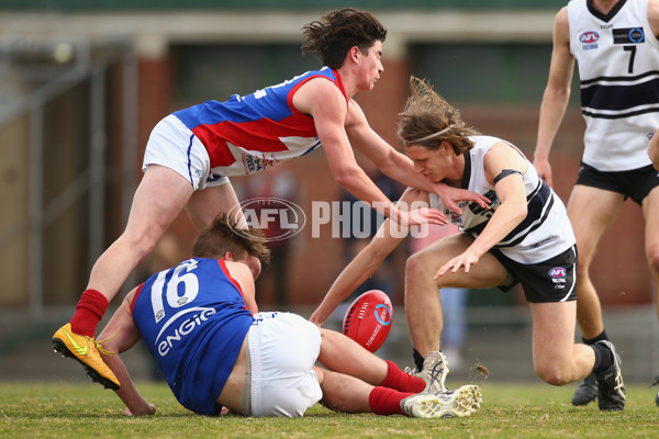 TAC Cup 2018 Round 13 - Northern Knights v Gippsland Power - 614992