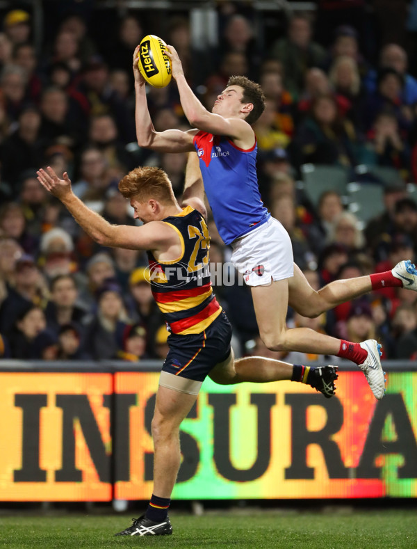 AFL 2018 Round 19 - Adelaide v Melbourne - 615513