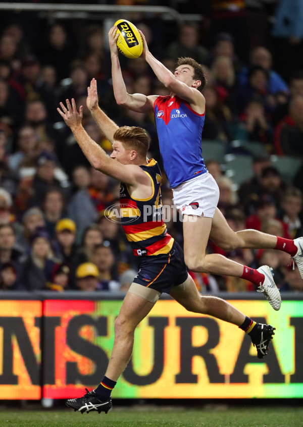 AFL 2018 Round 19 - Adelaide v Melbourne - 615512